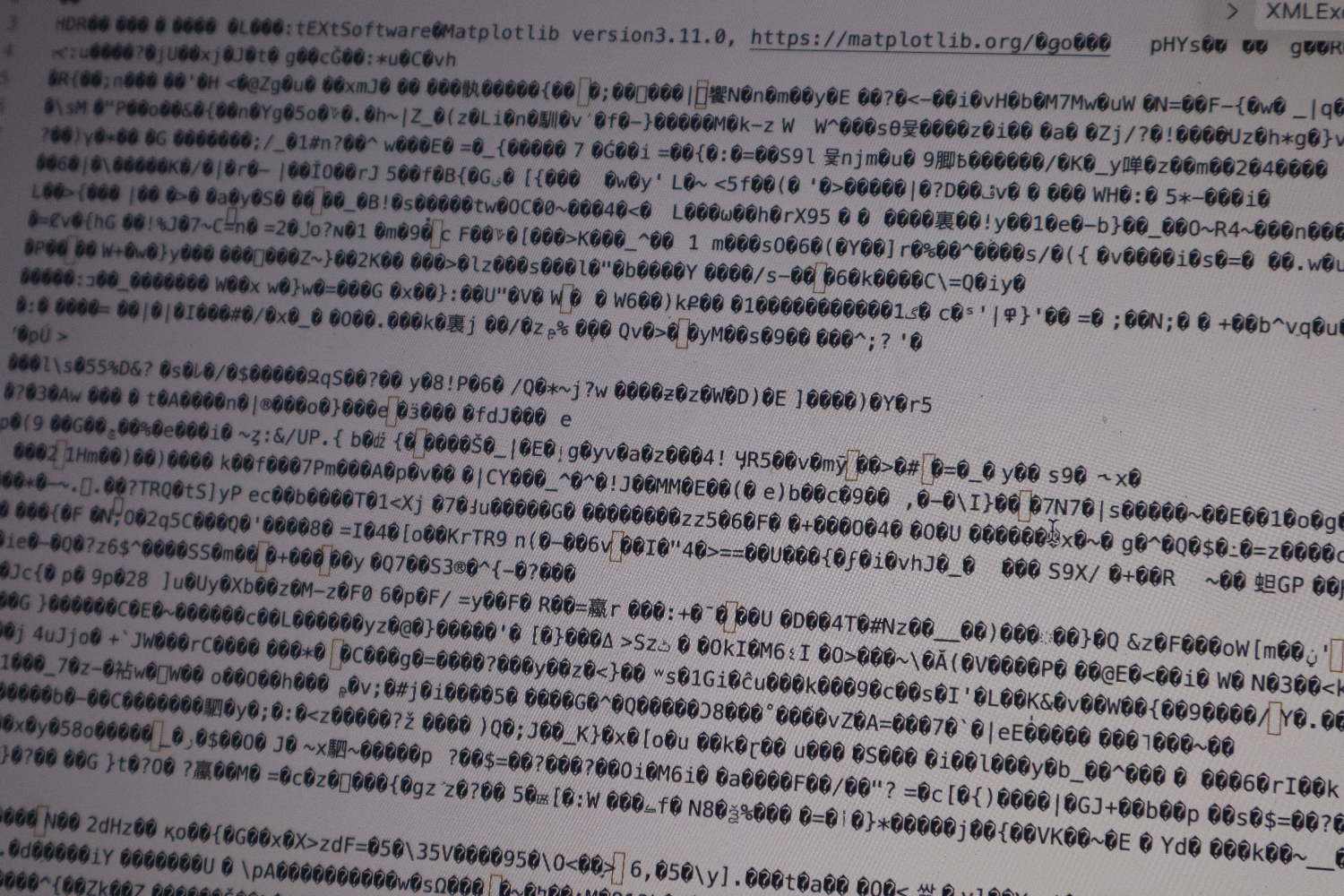 PNG file viewed as text.