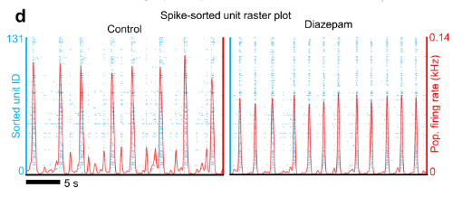 raster-plot.png
